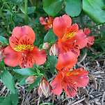 카페 프로필 이미지