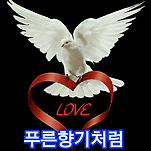 카페 프로필 이미지