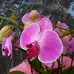 카페 프로필 이미지