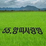카페 프로필 이미지