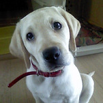 카페 프로필 이미지