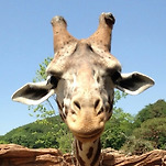 카페 프로필 이미지