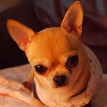 카페 프로필 이미지