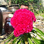 카페 프로필 이미지