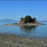 카페 프로필 이미지