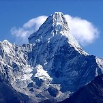 카페 프로필 이미지