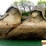 카페 프로필 이미지