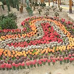 카페 프로필 이미지