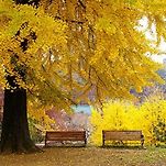 카페 프로필 이미지