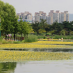 카페 프로필 이미지