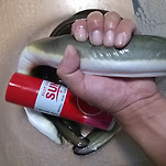 카페 프로필 이미지