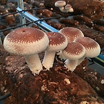카페 프로필 이미지
