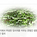 카페 프로필 이미지