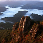 카페 프로필 이미지