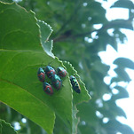 카페 프로필 이미지