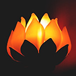 카페 프로필 이미지