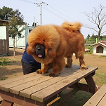카페 프로필 이미지