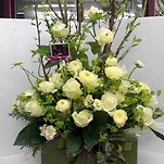 카페 프로필 이미지