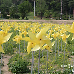 카페 프로필 이미지