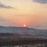 카페 프로필 이미지