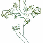 카페 프로필 이미지