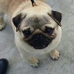 카페 프로필 이미지