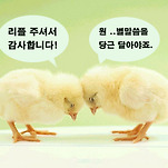 카페 프로필 이미지