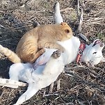 카페 프로필 이미지