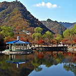 카페 프로필 이미지