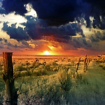 카페 프로필 이미지