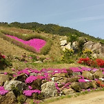 카페 프로필 이미지