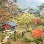 카페 프로필 이미지