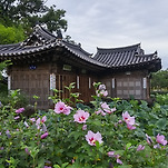 카페 프로필 이미지