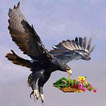 카페 프로필 이미지