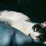 카페 프로필 이미지