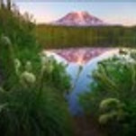 카페 프로필 이미지