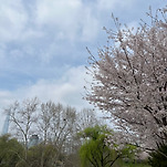 카페 프로필 이미지