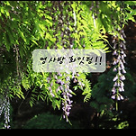 카페 프로필 이미지