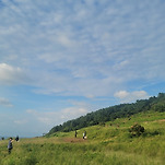 카페 프로필 이미지