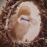 카페 프로필 이미지