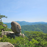 카페 프로필 이미지