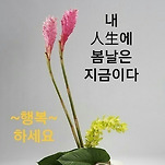 카페 프로필 이미지
