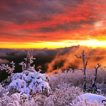 카페 프로필 이미지