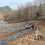 카페 프로필 이미지