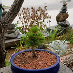 카페 프로필 이미지