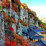 카페 프로필 이미지