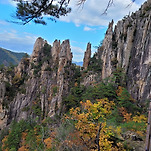 카페 프로필 이미지