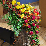 카페 프로필 이미지