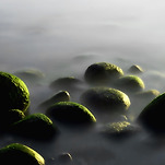 카페 프로필 이미지