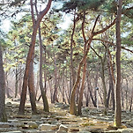 카페 프로필 이미지
